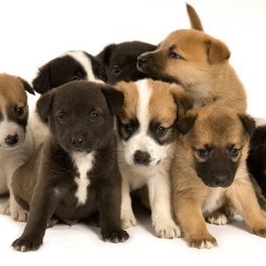 Meet your Posher, Hailey